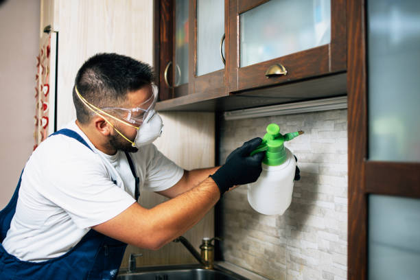 Best Pest Prevention Services  in Columbia, CA