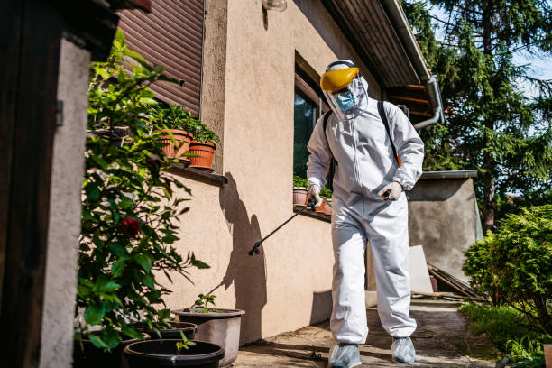 Bird Control in Columbia, CA