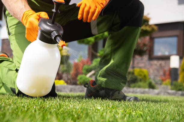 Best Ant Control Services  in Columbia, CA
