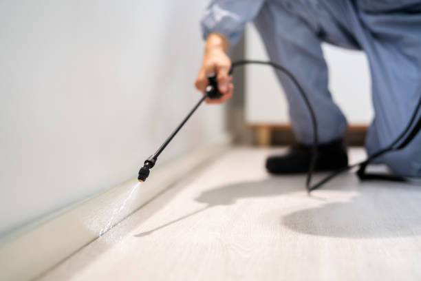 Best Best Pest Control Companies  in Columbia, CA