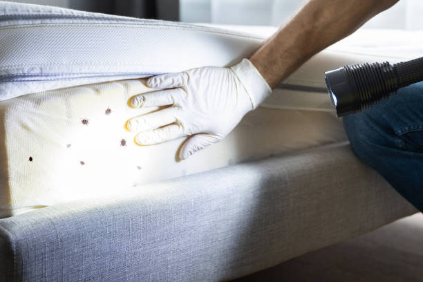 Best Pest Prevention Services  in Columbia, CA