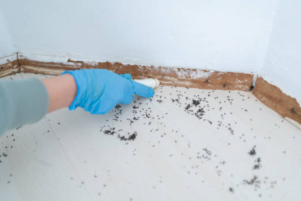 Best Exterminator Services  in Columbia, CA