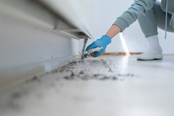 Best Cockroach Control Services  in Columbia, CA