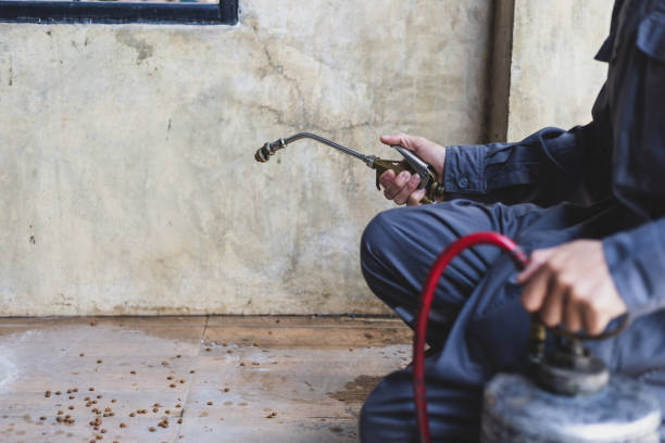 Best Residential Pest Control  in Columbia, CA