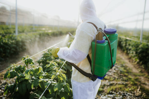 Best Best Pest Control Companies  in Columbia, CA